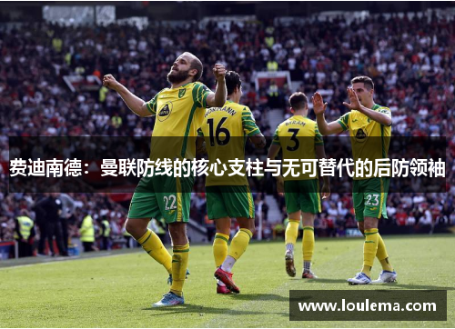 费迪南德：曼联防线的核心支柱与无可替代的后防领袖