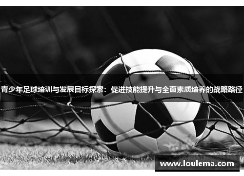 青少年足球培训与发展目标探索：促进技能提升与全面素质培养的战略路径
