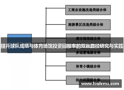 提升球队成绩与体育场馆投资回报率的双赢路径研究与实践
