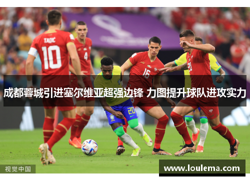 成都蓉城引进塞尔维亚超强边锋 力图提升球队进攻实力